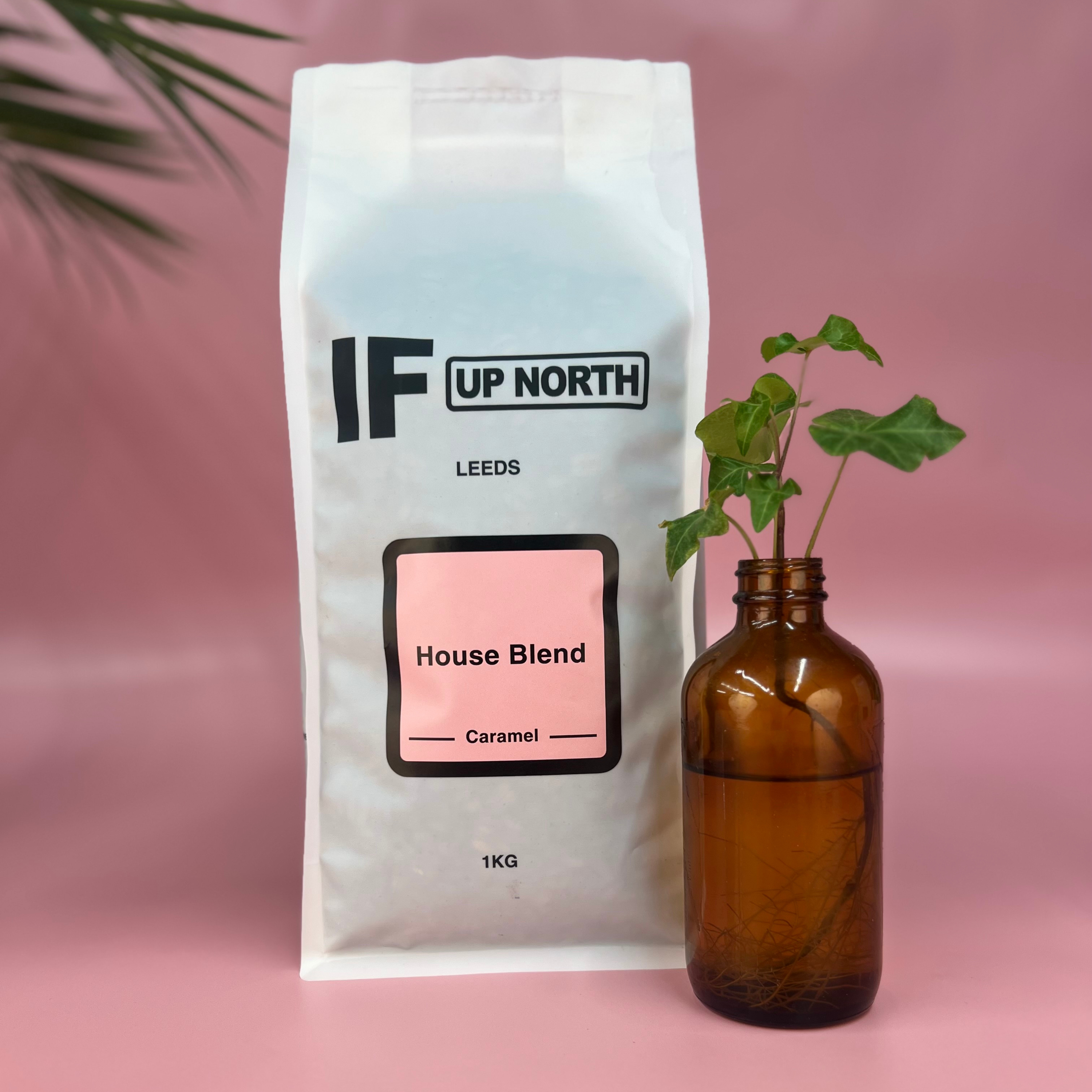IF House Blend